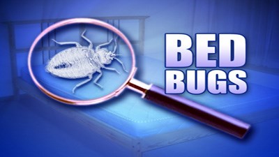 Bug Experts And Removal: Ferin Cater